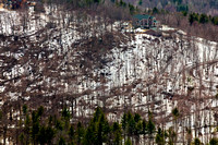 Grzywna Sugarbush Damage from 12/1/10 Windstorm